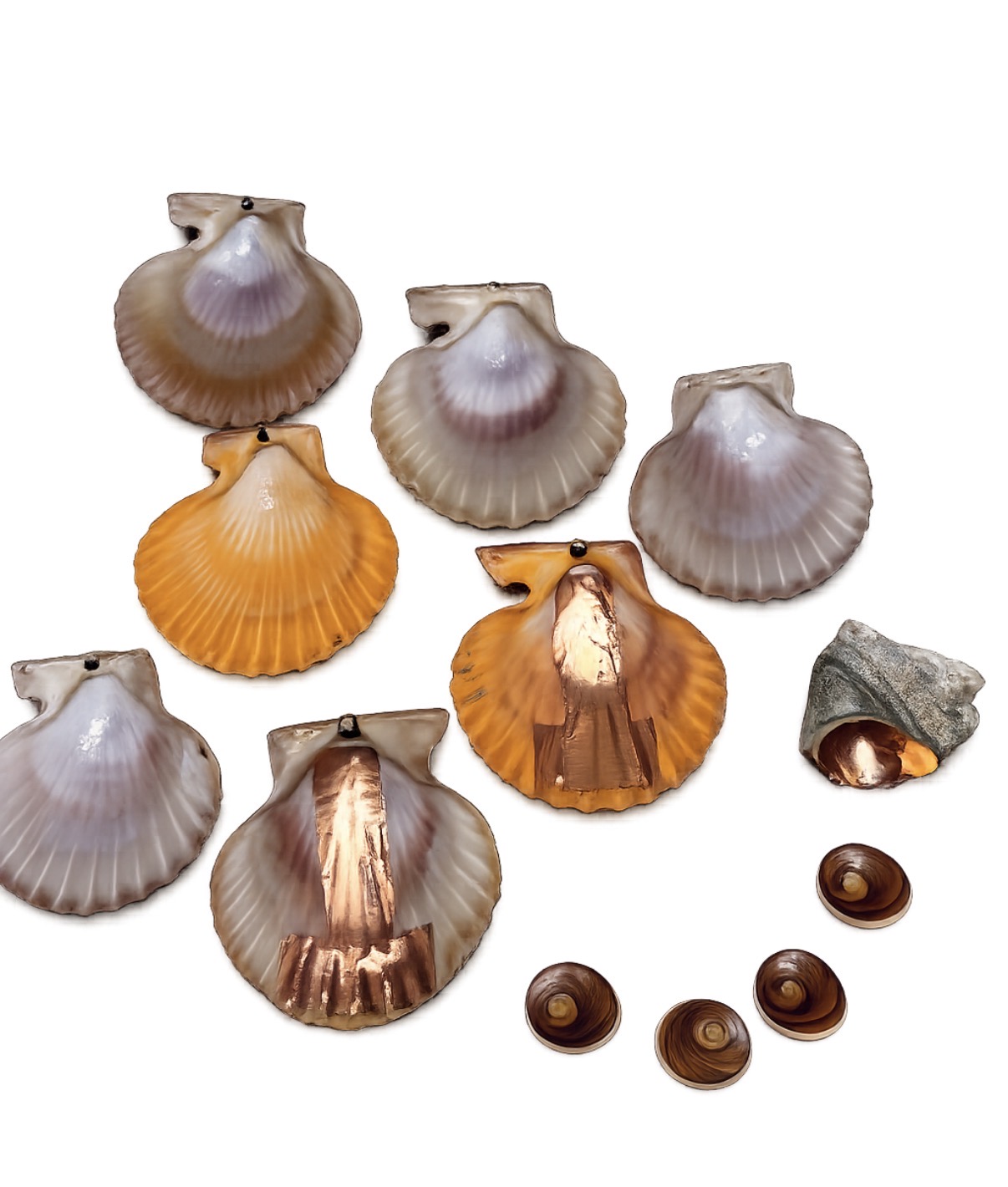 shell script shells