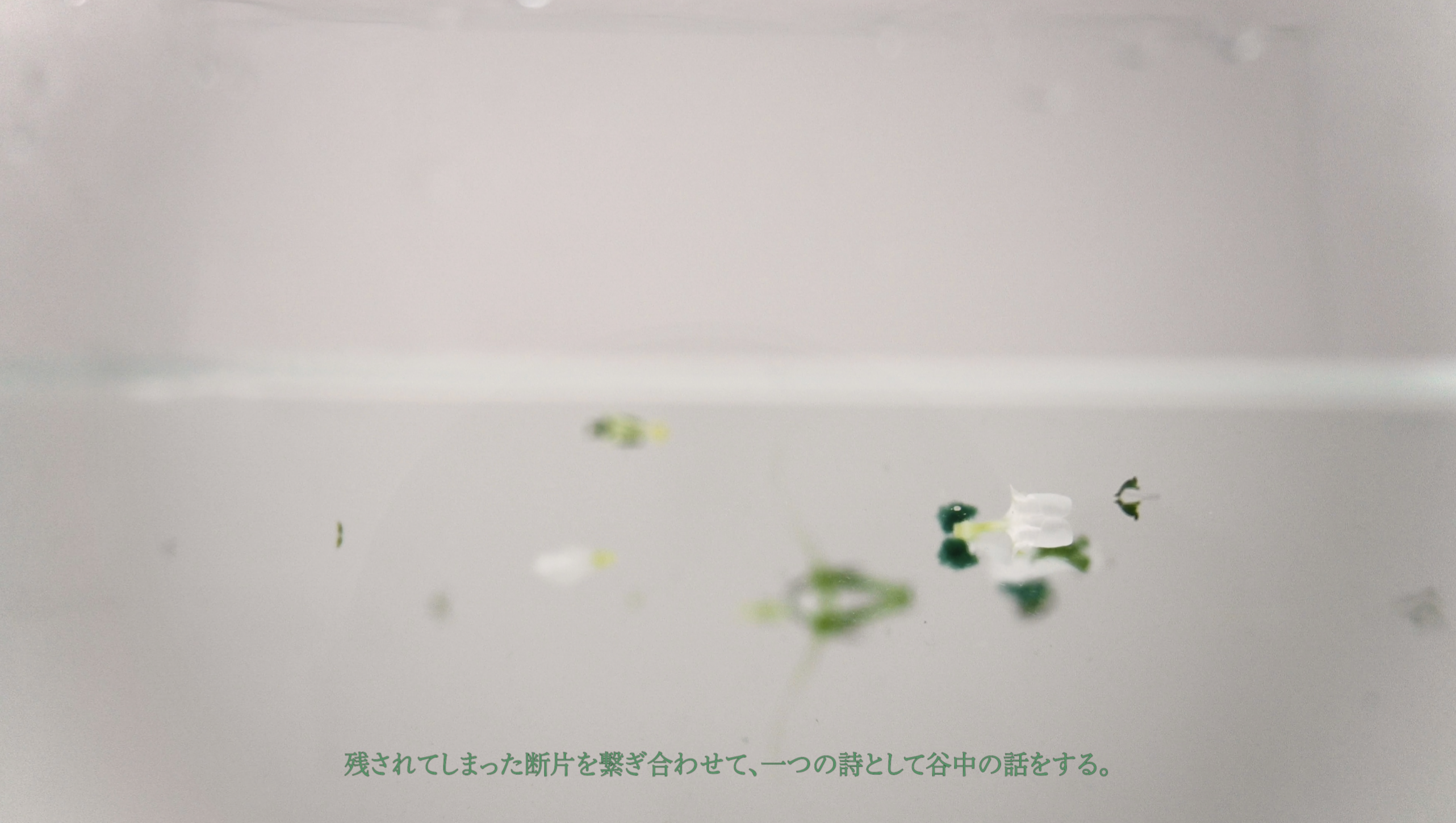 谷中の話
